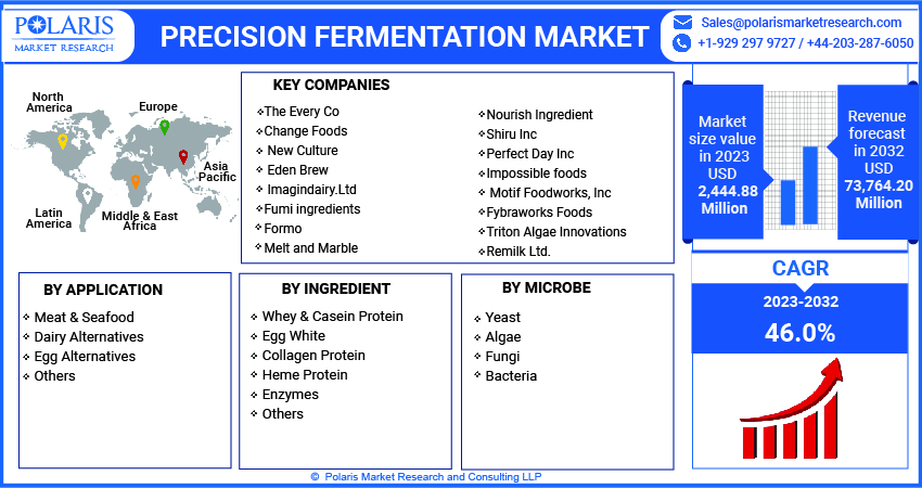 Precision Fermentation Market